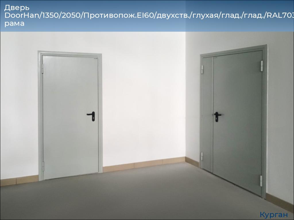 Дверь DoorHan/1350/2050/Противопож.EI60/двухств./глухая/глад./глад./RAL7035/прав./угл. рама, kurgan.doorhan.ru