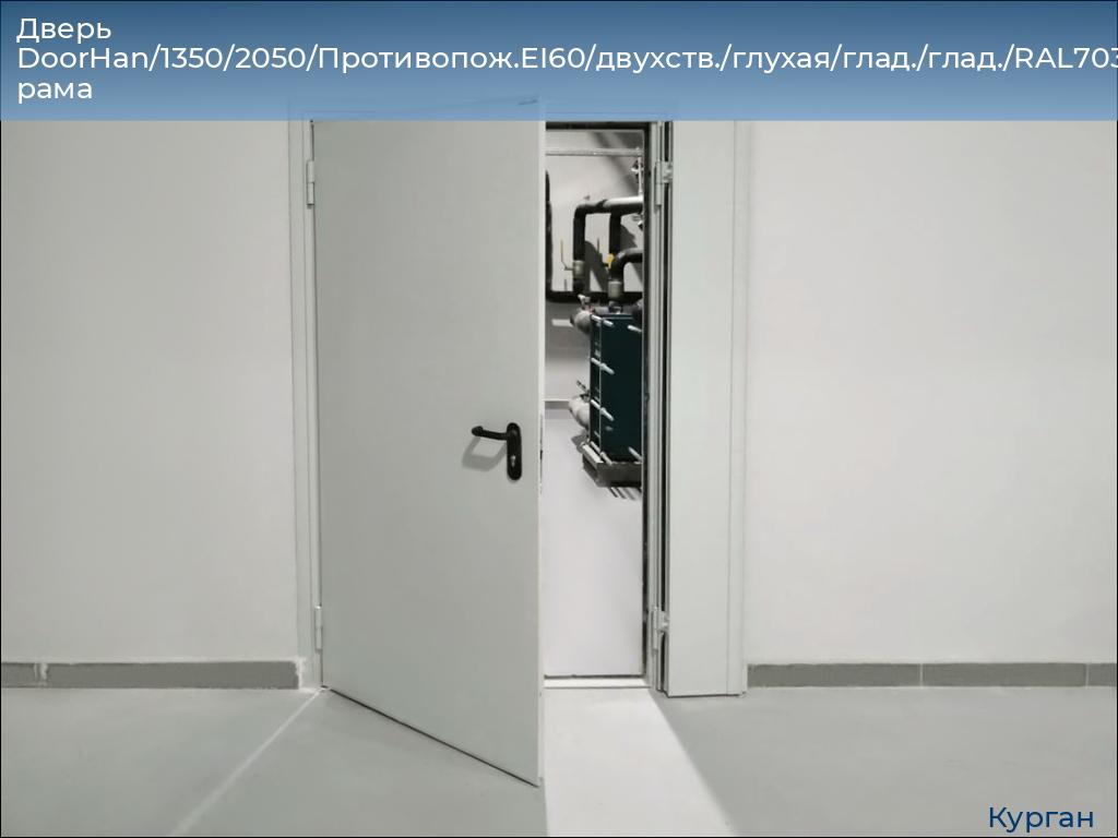 Дверь DoorHan/1350/2050/Противопож.EI60/двухств./глухая/глад./глад./RAL7035/лев./угл. рама, kurgan.doorhan.ru