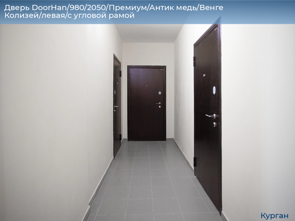 Дверь DoorHan/980/2050/Премиум/Антик медь/Венге Колизей/левая/с угловой рамой, kurgan.doorhan.ru