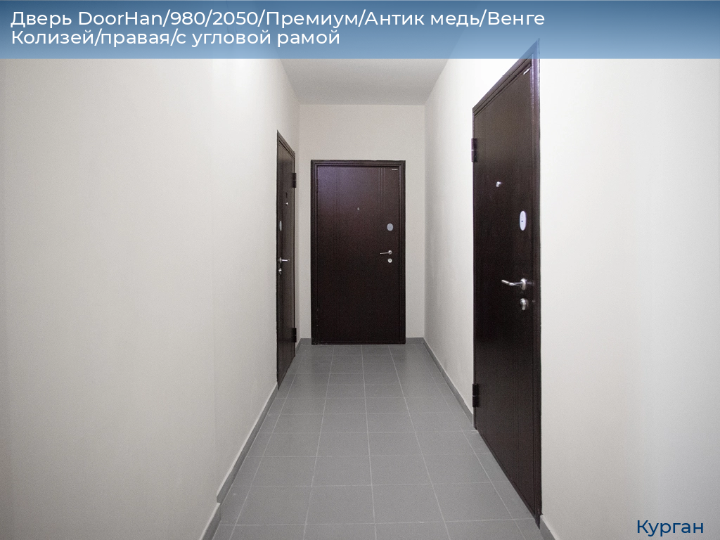 Дверь DoorHan/980/2050/Премиум/Антик медь/Венге Колизей/правая/с угловой рамой, kurgan.doorhan.ru