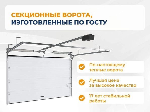 Cекционные ворота 2500х2050 мм белые DoorHan RSD02, kurgan.doorhan.ru